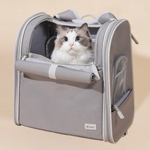트래들 강아지 가방 이동가방 고양이 백팩 애견 반려견 개 산책 캐리어 이동장, 상품2) 2in1 프라임 백팩