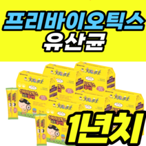 프리바이오틱스 유산균 딸기맛 키즈 어린이 아이 정품 가격 추천 알지지 엘지지 플란타럼 람노서스 가세리 루테리 여성 남성 남자 여자 건강식품 락토바실러스
