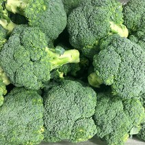 브로콜리 2kg, 1개