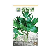 다농 일당귀 씨앗 3g