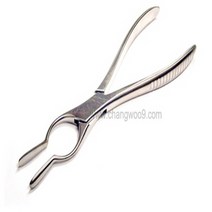[1등급] [K100459] 장우KASCO-월샴 셉텀 포셉 (WALSHAM SEPTUM FORCEPS) 23CM 405-181