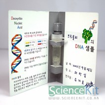식물세포 DNA추출 샘플북 만들기 4인세트과학수업 키트 실험교구 영재 과학의날행사, 본상품, 본상품