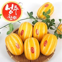 성주참외 동국농산 산지직송 당도선별 실속형 고급형 당일수확 3kg 5kg 10kg, 1박스, 10kg/실속형/랜덤과