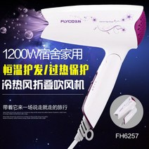 무선드라이기 드라이기 FH-6232대출력 모텔 기숙사 여행 가정용 뜨겁고찬바람 항온 학생, T05-FLYCO1200w뜨겁고찬바람 드라이기 6257