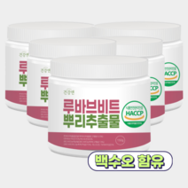 루바브 뿌리추출물 분말 가루 백수오 비트 식약처인증 국산 HACCP, 5개