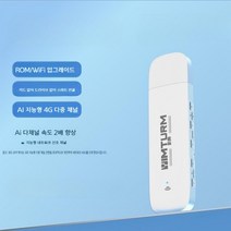포켓 와이파이 에그 LTE 라우터 휴대용 데이터 쉐어링 유심, 10G-월x1개월, C, 1개