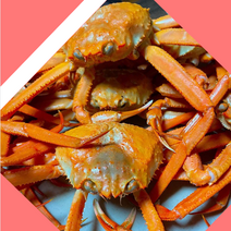 힐링수산 포항 구룡포 자숙 고급 홍게 소소 10마리 무료찜, 홍게 라면용 10마리