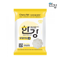 웅진레포츠 한강 포테이토(대) 떡밥 민물떡밥 붕어떡밥 집어제