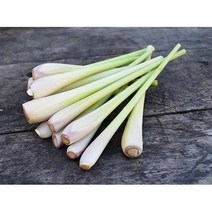 베트남식품 레몬그라스 Lemongrass Xa tuoi, 1Kg