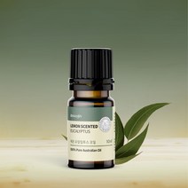 [100% Australian] 레몬 유칼립투스 오일 100% 원액 5ml 10ml, 1개