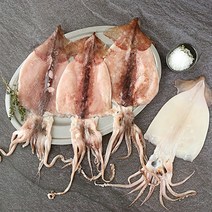 맛군 통통 쫄깃한 포항 구룡포 국내산 반건조오징어 5마리/10마리[★적용가11 920원~], 반건조오징어 10미(상/700g내외)