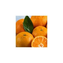 영화청과 특급 귤 2kg 타이벡 제주 블로초 효돈