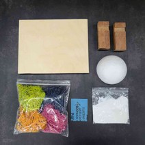 [기현공방]스칸디아모스액자 DIY 200x160 자작나무 공기정화식물 KIT 실속형재료, 1개