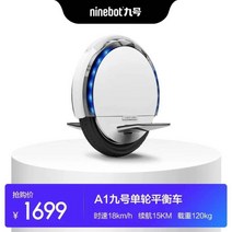 나인봇 외발 전동 휠 킥보드 왕발통 세그웨이 대리기사, 54v, 54v