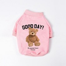 디자이너 만화 곰 애완 동물 강아지 옷 따뜻한 면 개 후드 스웨터 치와와 테디 작은 중형 소녀 의상, [05] XXL, [12] 12