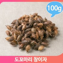 국화과 약초 창이자 100g 도꼬마리 열매 건강 한방, 1개