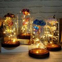 엔템 led 드라이플라워 프리저브드 유리돔 꽃 무드등 대형 미니유리돔 만들기 와이어전구 건전지 특이한무드등, 카네이션(구슬)(홀로그램)