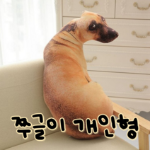 빛내는사람들 진짜 같은 쭈글이 리얼 개 인형 집들이 선물, 리얼 개 인형(소)