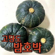 바르다야채 달콤달달한 수입산(통가 뉴질랜드) 단호박 5kg 10kg (당도최고 빠른배송), 1개