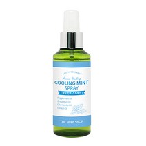 더허브샵 아로마 쿨링민트 스프레이 150ml, 1개