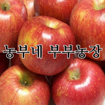 햇사과 22년 부사 맛있는 꿀사과 산지직송 농부네 부부농장, 17. 정품사과 10kg 대과/선물용(26과~29과)