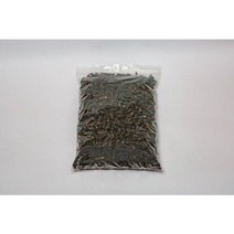 제천애 강원도 냉동 자연산 자숙다슬기, 3kg