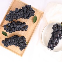 당일선별 송산포도 대부도포도 상주모동포도 캠벨 포도1kg 2kg, 1kg 내외(3~5송이)
