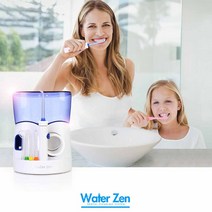 EGS 원터젠 3000 구강세정기 치아 치간 잇몸 세척 살균 물치실 칫솔, 혼합(화이트), 워터젠-3000