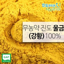 진도장모와서울큰사위 무농약 울금가루(강황가루) 울금 강황 500g 진도울금, 1개