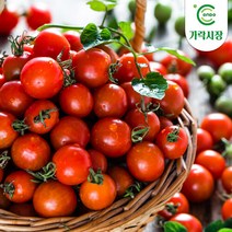 [온도씨]가락시장 방울토마토(500g), 단품