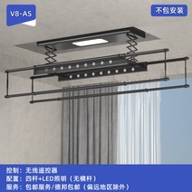 자동 미니 스텐 베란다 행주 대형 전동건조대 스마트리모콘 발코니 건조대 가정용건조대 쿨링건조대, 02 8AS블랙 리모트 리프트