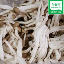 갈색만가닥버섯 2kg 4kg 8kg 당일수확 청도 국내산 친환경 무농약 손질된 백만송이 갈색버섯 갈색 만가닥 버섯 버섯요리 천연조미료 노인영양식 어린이반찬 환자식단 웰빙농산물, 4kg (2kgx2개)