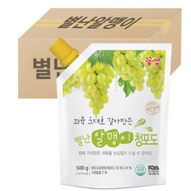 꽃샘 별난 알맹이 청포도 음료 농축액 500g x 8개 (1박스)