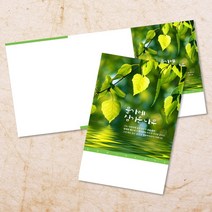 교회 절기 주보 추수감사절 주보용지 3단 6면 주보지 52주 디자인 순서지 안내지 교회용품 기독교용품 주일학교 청년부 전도용품 새교우, EW-12