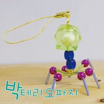 박테리오파지 열쇠고리만들기(10인)/TY