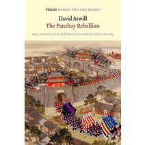 판타이 반란: 1856년부터 1873년까지 중국 남서부의 이슬람 민족 달리 술탄국(Verso 세계사 시리즈)