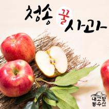 청송 사과 선물세트 설선물 명절선물 세트 꿀사과 부사 사과직거래 5kg 10kg, 실속 사과선물세트 10kg