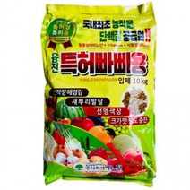 인터네셔널KYJ 특허청 특허빠삐용입제10kg, 상세페이지 참조, 상세페이지 참조