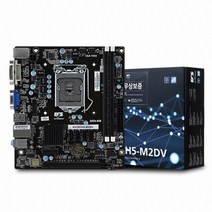 ECS DURATHON2 H310CH5-M2DV (제이씨현)