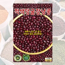 적색덩굴강낭콩씨 30g 콩씨 씨앗 대장 KS종묘, 1개