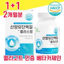 네덜란드 산양유 단백질 해썹 사양유 산야유 상양유 60% 베타 미셀라 카제인 담백질 분리 유청 단백 WPI 고함량 고순도 프로틴 프로테인 유청 칼슘 BCAA 퀄리고트 알약 물과함께, 1+1 2개월분 - 다니마켓