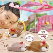 햄스터 작동인형 따라다니는 언니동생 햄찌 동물교감 돌봐주기 놀이완구