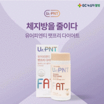 다이어트 녹십자 웰빙 유어피엔티 팻프리 다이어트 올라잇 콜레우스포스콜린, 1병 1개월, UR.PNT 팻프리
