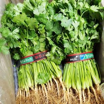 고수 500g, 1개