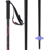 Line Skis 라인 스키 Tac 폴 2024, 36 in