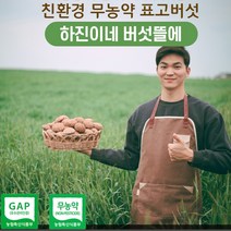 국내산 친환경 무농약 표고버섯 분말 가루 파우더 100g 천연조미료