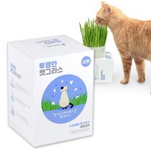 고양이 캣그라스 재배 세트 유기농 고양이풀 캣닢 수경재배 귀리 투명화분, 수경재배기 세트 (중형)