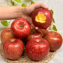 경북 햇 홍로 부사 사과 고당도 꿀사과, 3kg 중과(로얄) (10-14과), 정품 사과