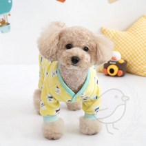 새임 베어랜드 2XL 3XL 강아지셔츠 불독옷 귀여운강아지옷