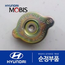 테라칸 순정 라디에이터 캡 뚜껑 (2001-2006)